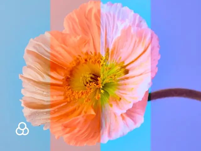 Ajuster les filtres d'image